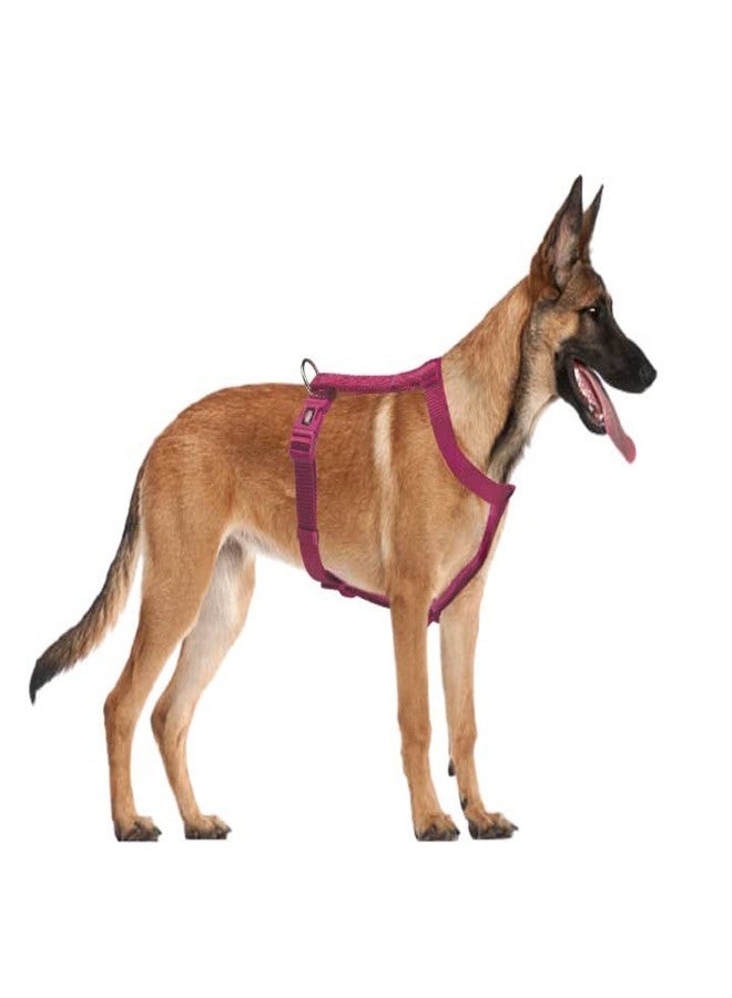 Trixie Premium Touring Harness for Dogs Made with Fleece Padding, Adjustable, and Lightweight Strong D-Ring Keeps The Harness and Leash in Place (L-XL, Orchid) - Image 4